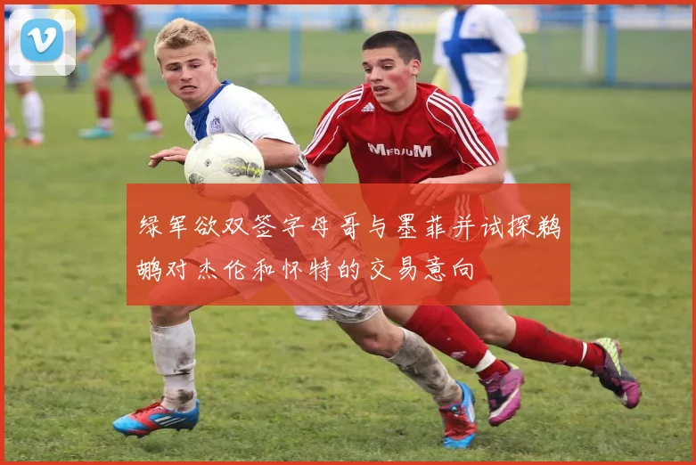 绿军欲双签字母哥与墨菲并试探鹈鹕对杰伦和怀特的交易意向