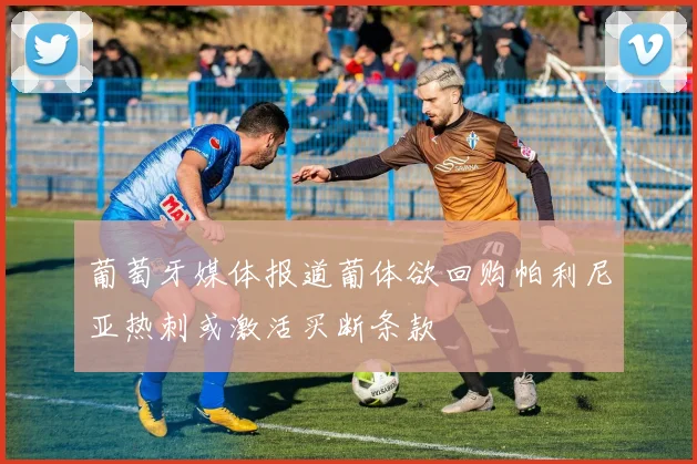 葡萄牙媒体报道葡体欲回购帕利尼亚热刺或激活买断条款